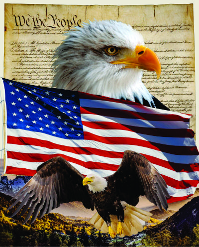 Eagle and Constitution