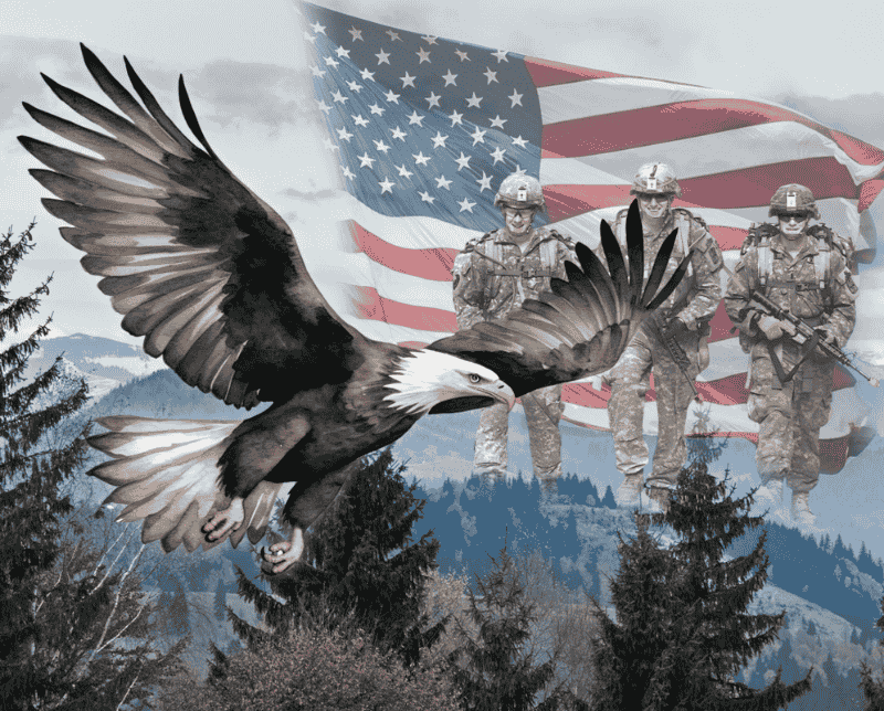 America: 250 Years! Brave Like An Eagle Panel 