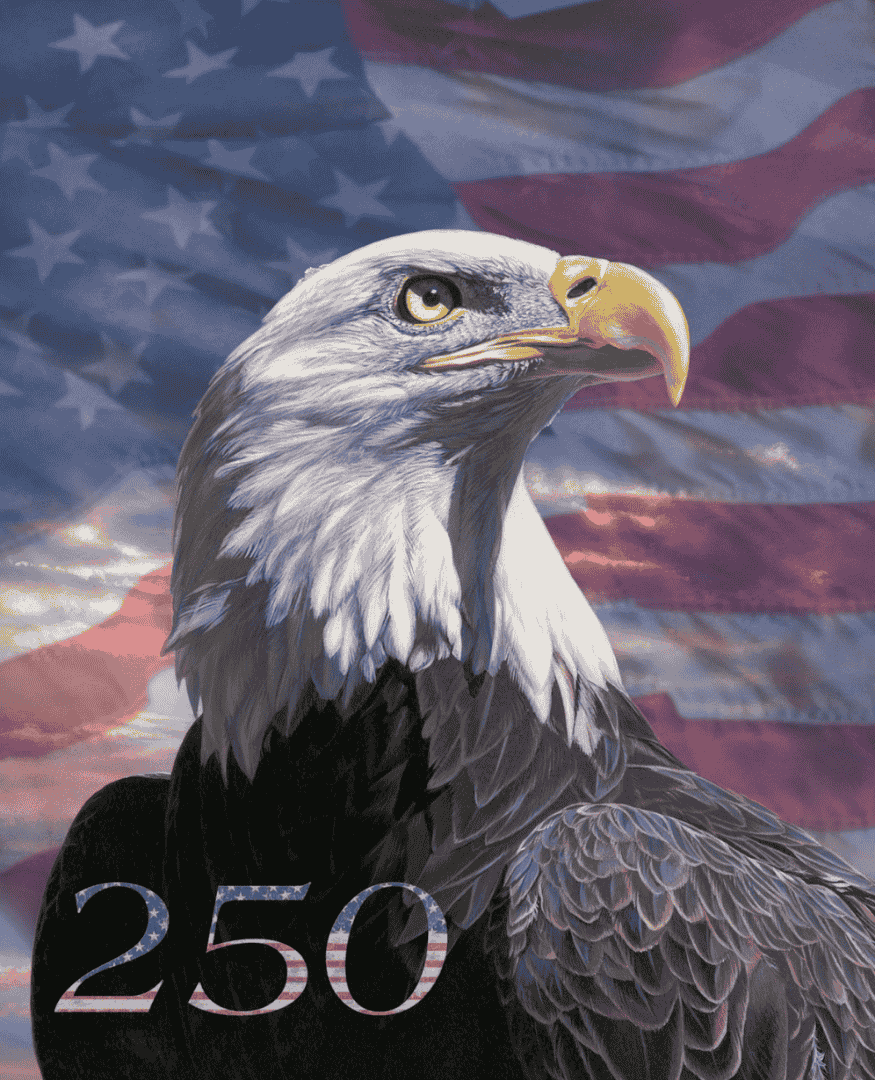 America: 250 Years! USA Eagle 2 Panel