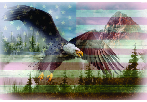 American Wild - Eagle