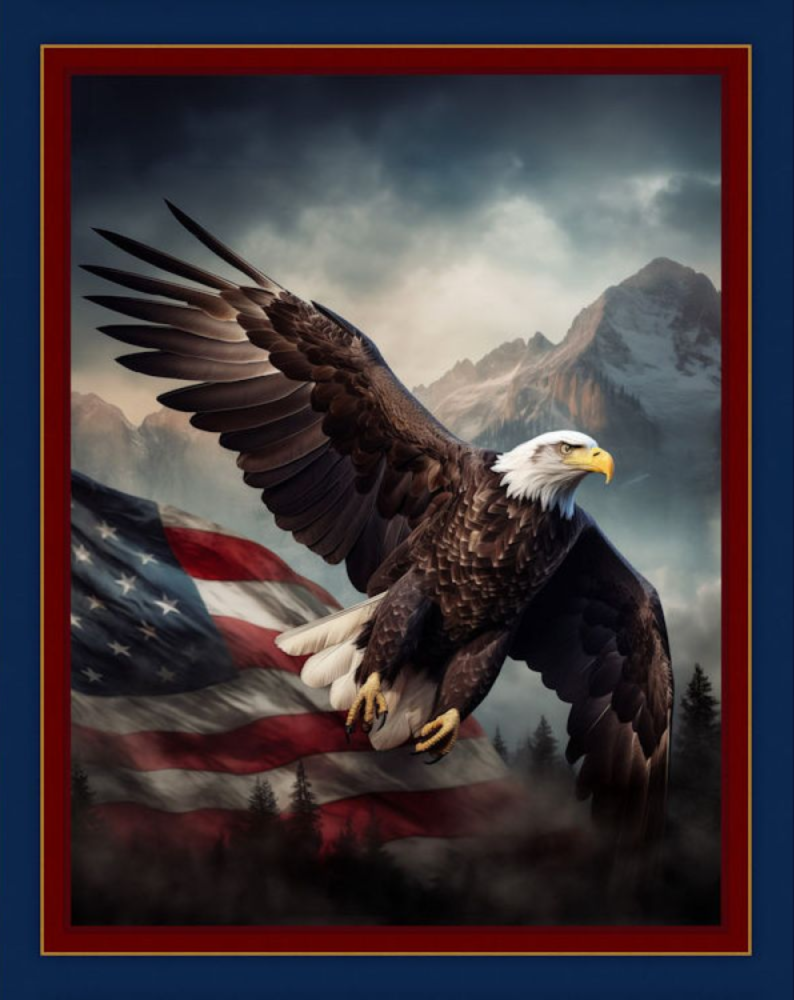 Soaring the Flag Fabric Panel